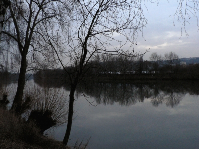 Abends am Neckar 3