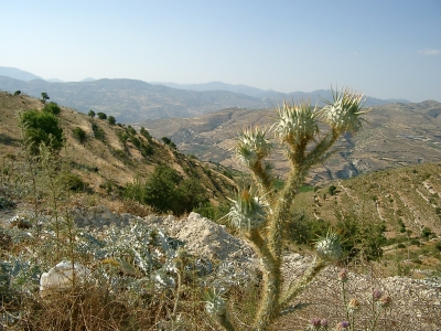 Trodos-Gebirge auf Zypern