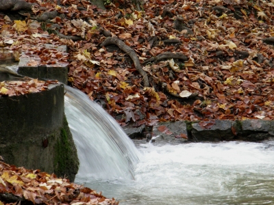 Bachlauf inmitten des Herbstes