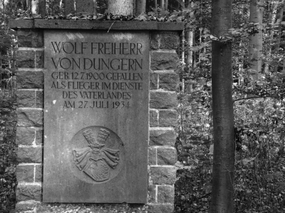 Kriegerdenkmal versteckt im Wald