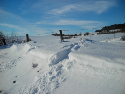 Spuren im Schnee