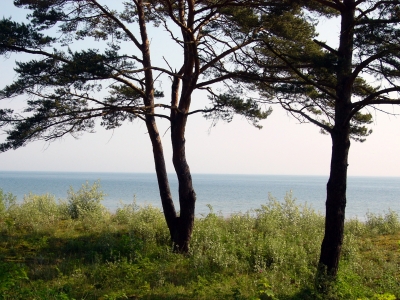 Ostsee bei Heringsdorf