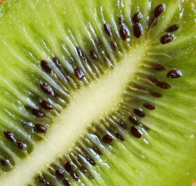 Kiwi