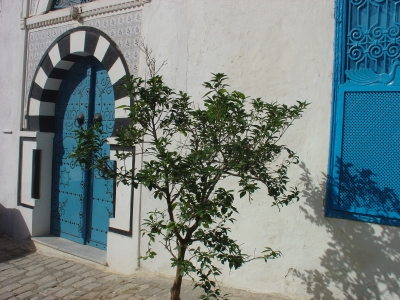 Tür in Sidi bou said (Tunesien)