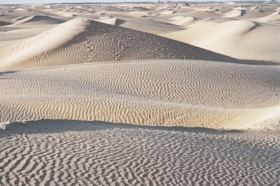 Spuren im Sand (Tunesien)