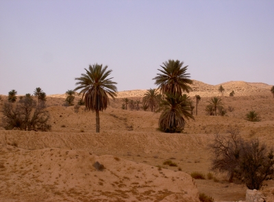 tunesiche Wüste