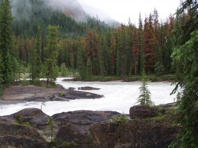 Herbststimmung (Banff Nationalpark)