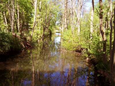 Wasserlauf 2