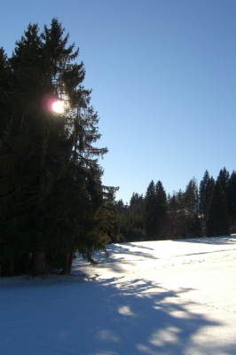Winterzauber im Allgäu