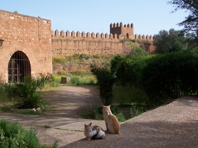 Stadtmauer von Alt-Rabat (Marokko)