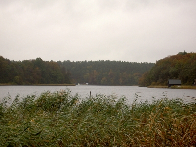 Nebelsee