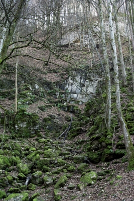Falkensteiner Höhle 3