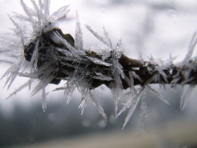 Nebeleis im Eisnebel I