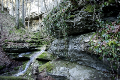 Falkensteiner Höhle 9