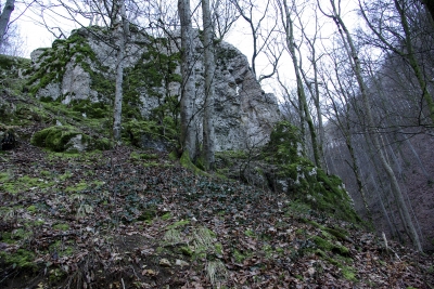 Falkensteiner Höhle 10