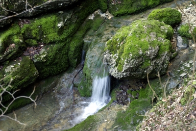 Falkensteiner Höhle 11