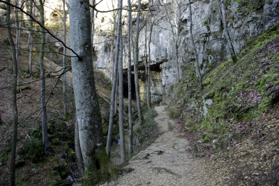 Falkensteiner Höhle 13