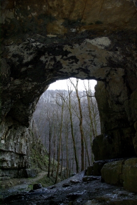 Falkensteiner Höhle 15 - im Portal