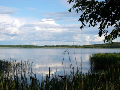Wolziger See