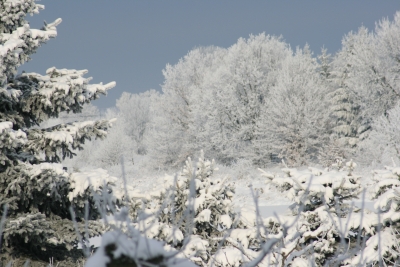 Zauberhafter Wintertag