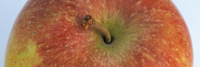 Apfel