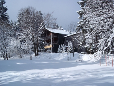 Winter am Schöffenhaus