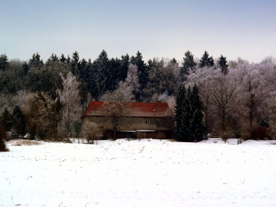 Das Haus am Wald