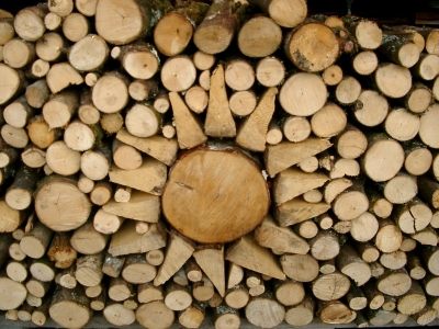 Holz vorm Haus