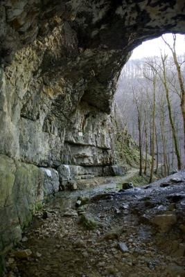Falkensteiner Höhle 17 - im Portal