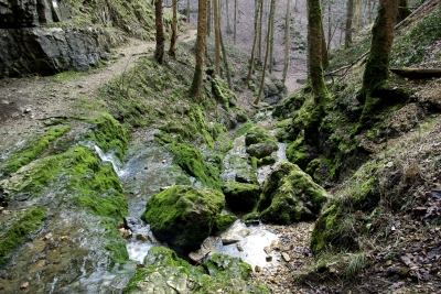 Falkensteiner Höhle 20 - die Elsach