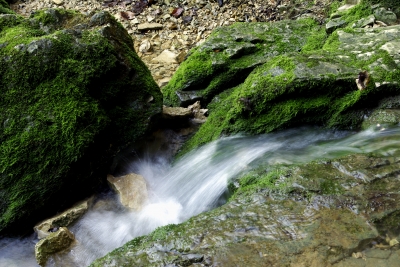 Falkensteiner Höhle 21 - die Elsach