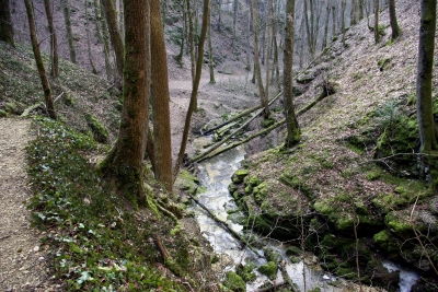 Falkensteiner Höhle 22 - die Elsach