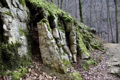 Falkensteiner Höhle 23 - Felsformationen