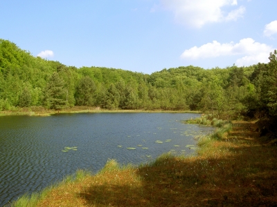 Mümmelkenensee auf Usedom