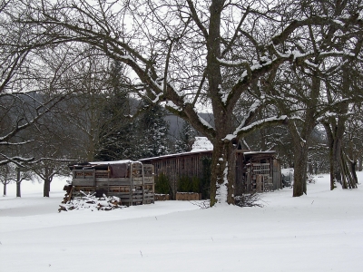 Holzlager in winterlicher Streuobstwiese