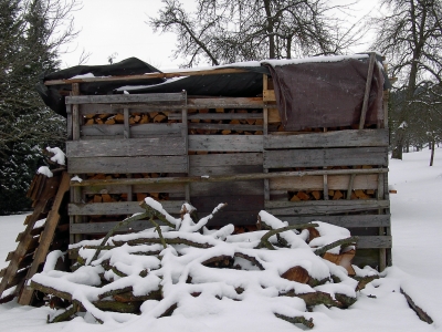 Holzlager in winterlicher Streuobstwiese 2