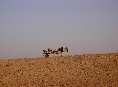 Einsam in der Wüste