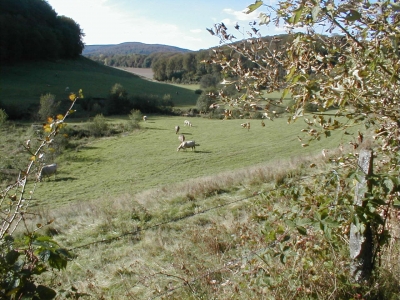 Ein Stück Sauerland