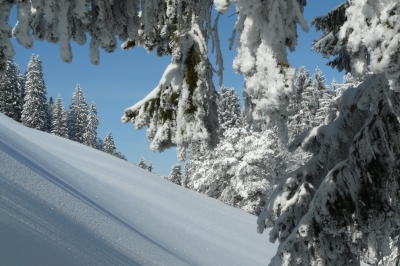 märchenlandschaft