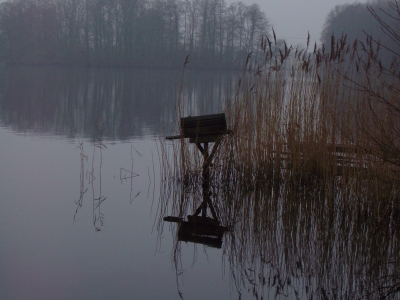 Winter am SEE