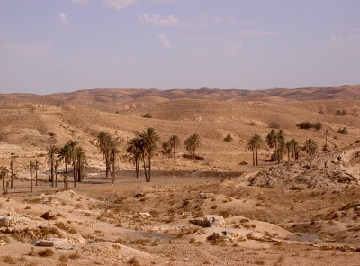 Tunesische Wüste