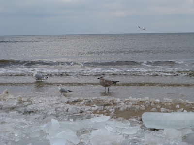 Eisige Ostsee