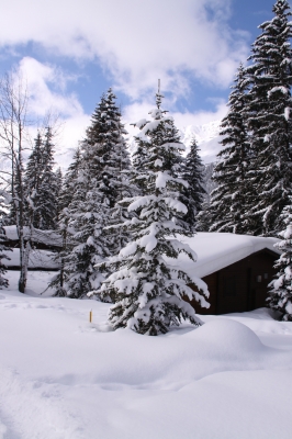Winterlandschaft, Tirol