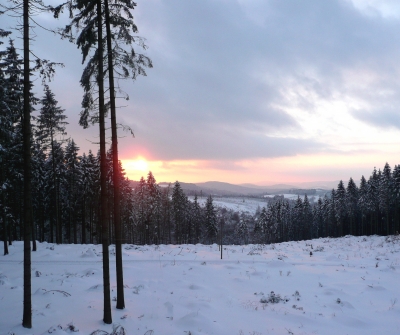 Winterlandschaft17