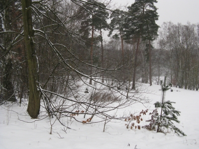 Teufelssee im Winter 2