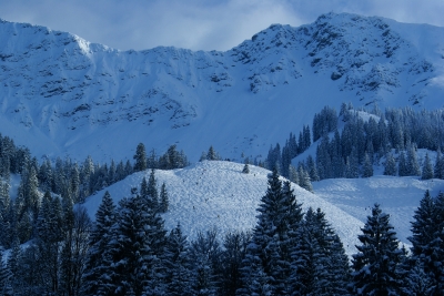 Winter,Schnee,Berge