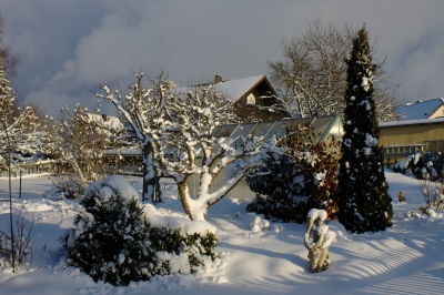 Winter im Garten