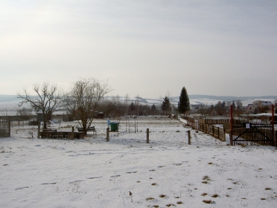 Kleingärten im Winter 5