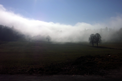 Nebel auf der Schwäbischen Alb