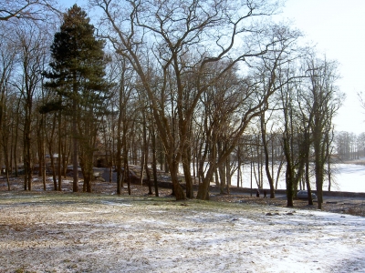 Schwielowsee im Winter 6